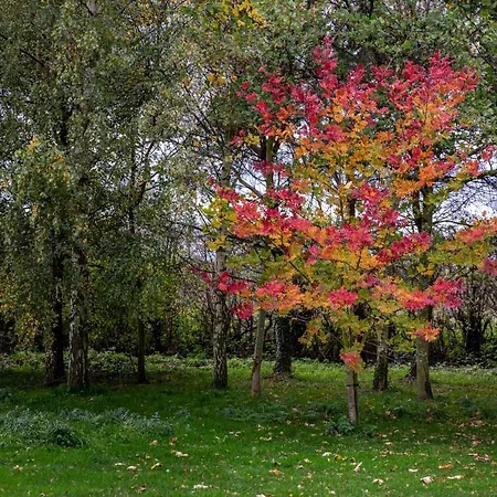 Dom wakacyjny Partridge *